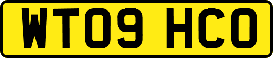 WT09HCO