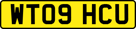 WT09HCU