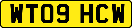 WT09HCW