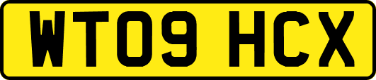 WT09HCX
