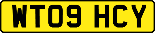 WT09HCY