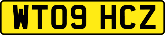 WT09HCZ