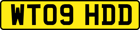 WT09HDD