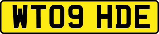 WT09HDE