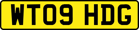 WT09HDG