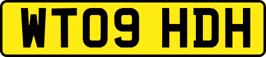 WT09HDH