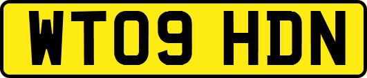 WT09HDN