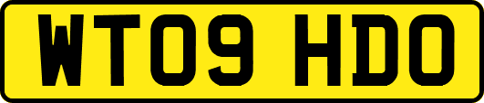 WT09HDO