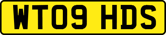 WT09HDS