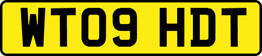 WT09HDT