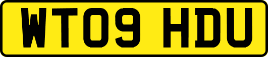 WT09HDU