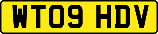 WT09HDV