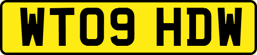 WT09HDW
