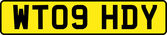 WT09HDY