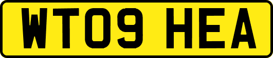 WT09HEA