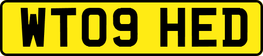 WT09HED