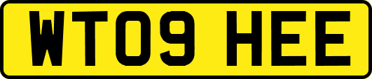 WT09HEE