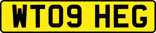 WT09HEG