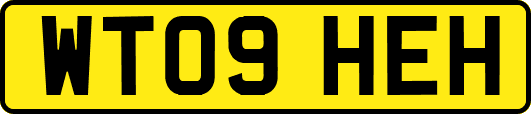 WT09HEH