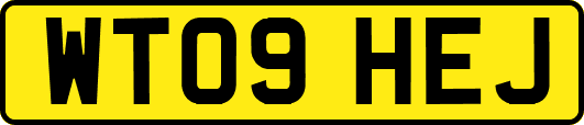 WT09HEJ