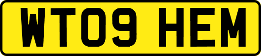 WT09HEM
