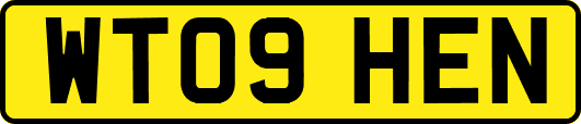 WT09HEN
