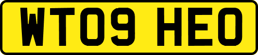 WT09HEO
