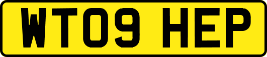 WT09HEP