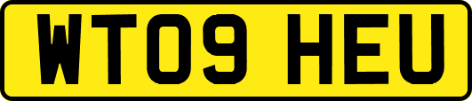 WT09HEU