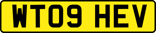 WT09HEV