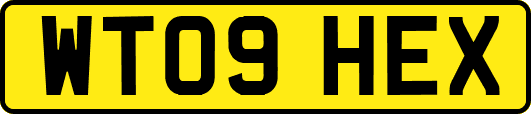 WT09HEX