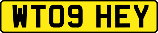 WT09HEY