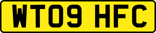 WT09HFC