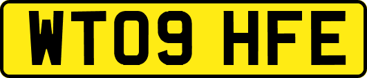 WT09HFE