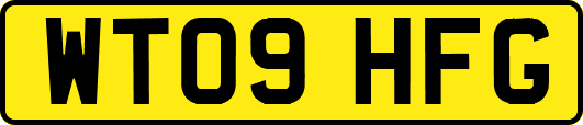 WT09HFG