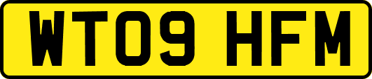 WT09HFM