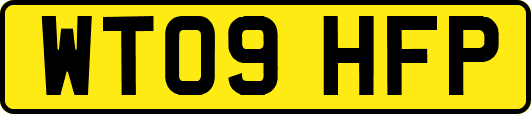 WT09HFP