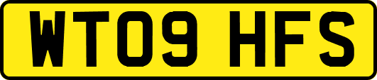 WT09HFS