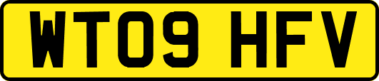 WT09HFV