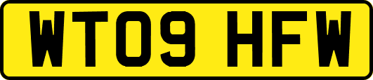 WT09HFW