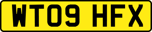WT09HFX