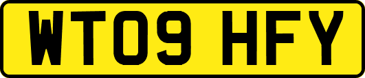 WT09HFY