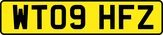 WT09HFZ