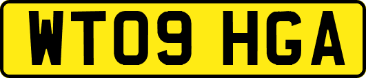 WT09HGA