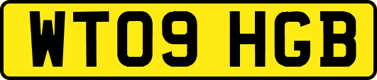 WT09HGB