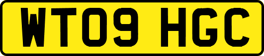 WT09HGC