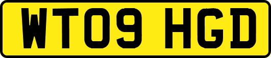 WT09HGD