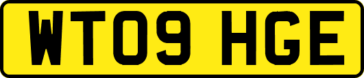 WT09HGE