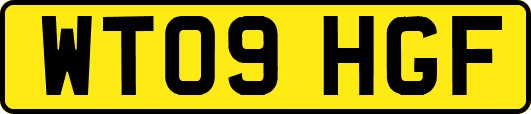 WT09HGF