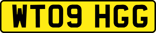 WT09HGG